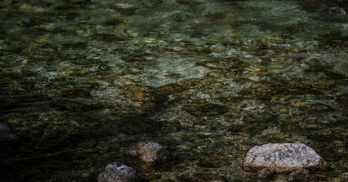 Arroyo de montaña entre piedras con agua clara y vegetación ribereña